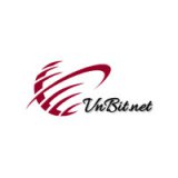 VnBitNet